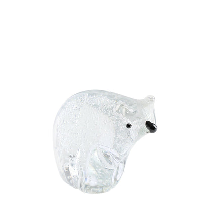 Coloured Glazed Bear