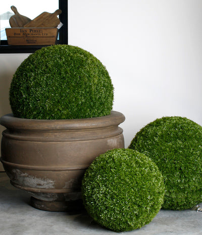 Conifer Ball