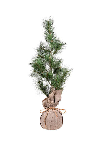 Long Needle Pine Table Top Tree in Burlap 76cm