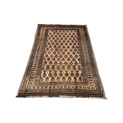 Hand Knotted Rugs