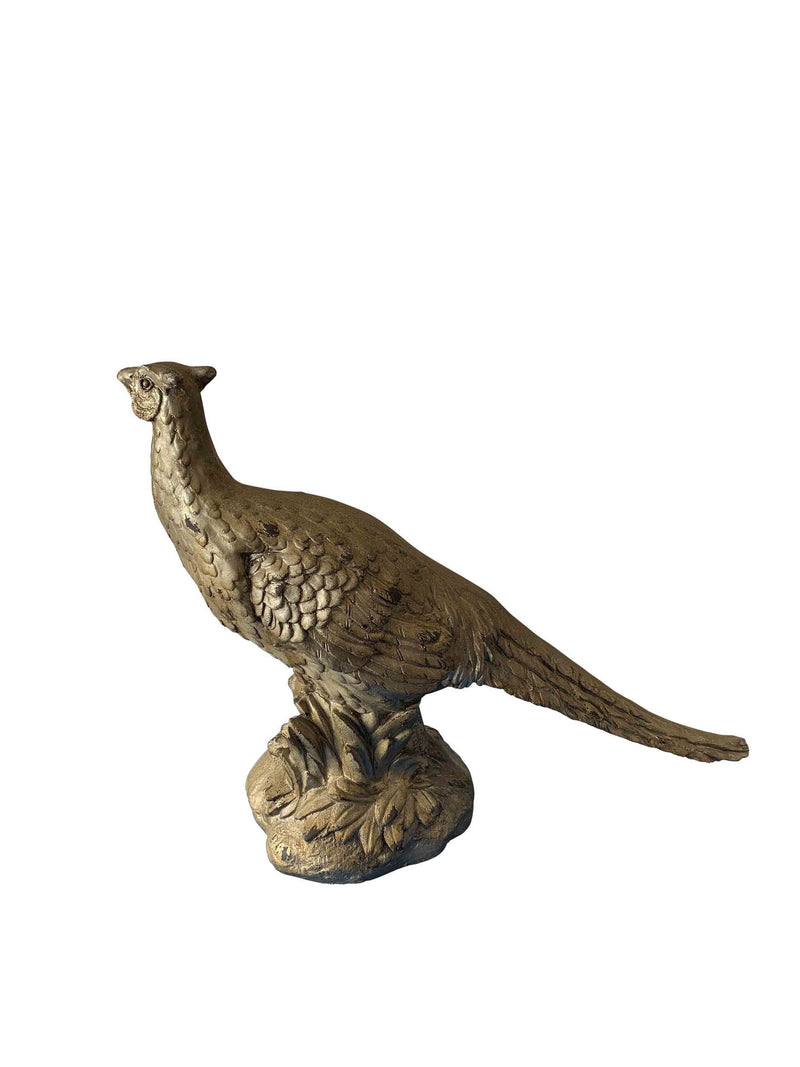 Standing Pheasant
