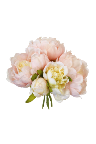 Mini Peony Bouquet Pink Peach