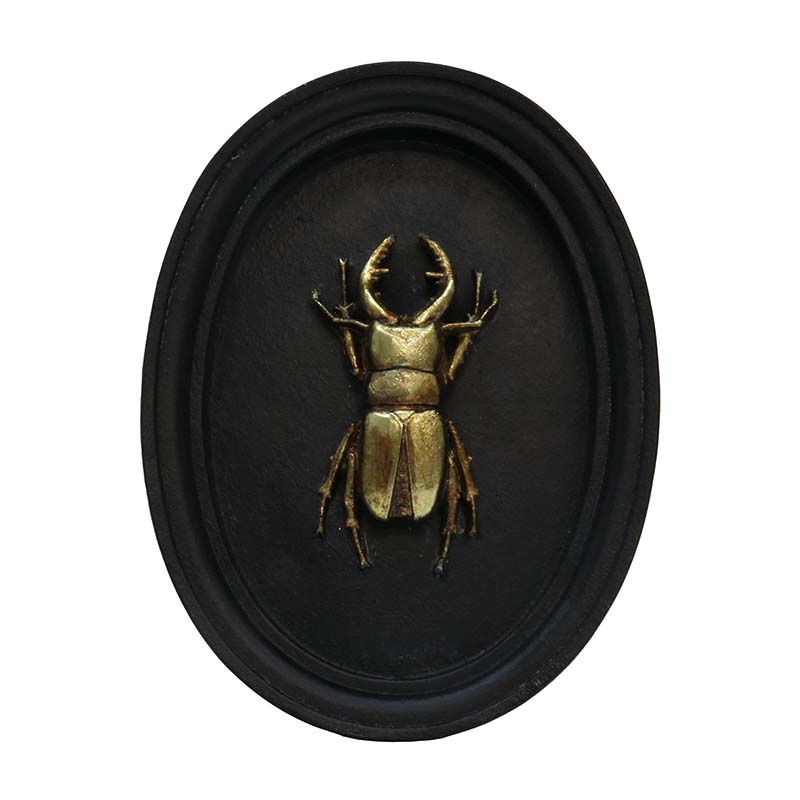 Insect Wall Decor