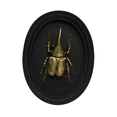 Insect Wall Decor