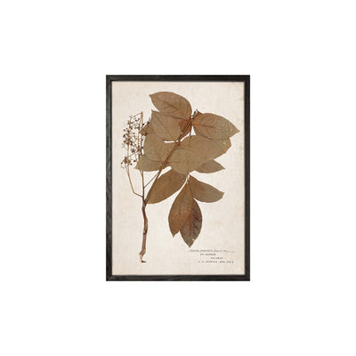Leaf Wall Art (set 4)