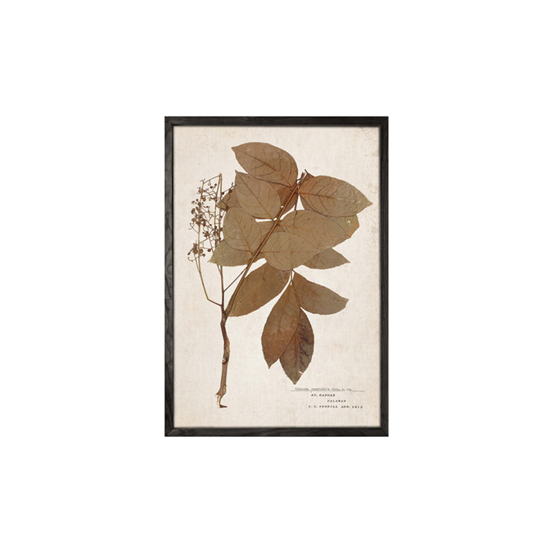 Leaf Wall Art (set 4)