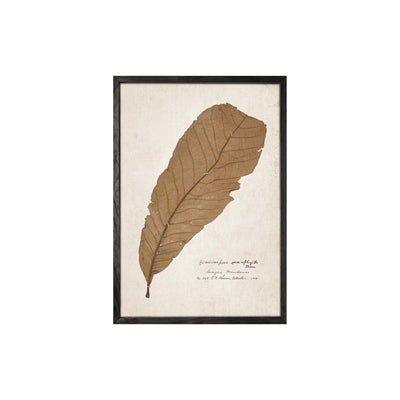 Leaf Wall Art (set 4)
