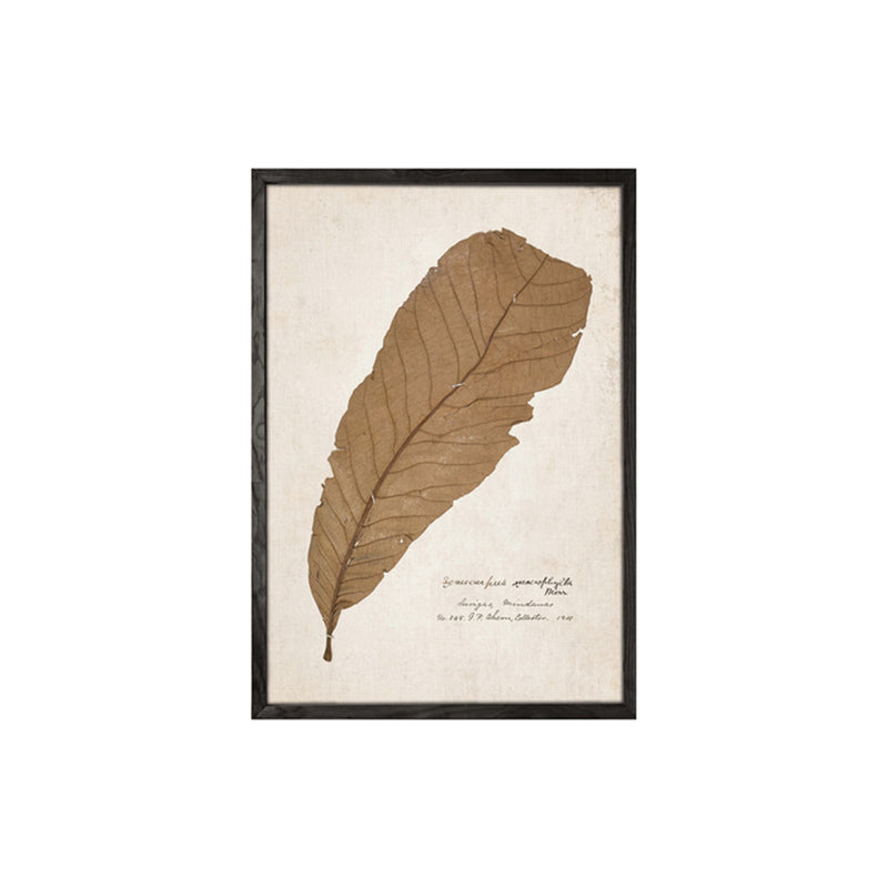 Leaf Wall Art (set 4)