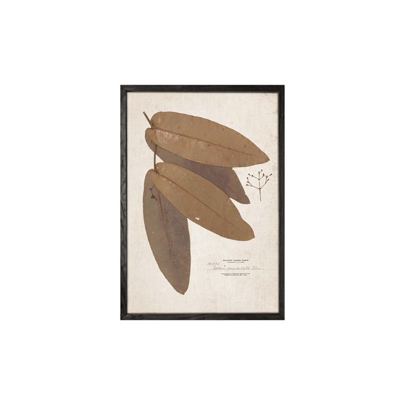 Leaf Wall Art (set 4)