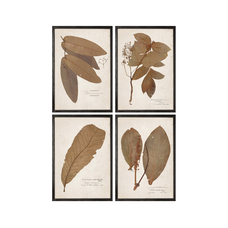 Leaf Wall Art (set 4)