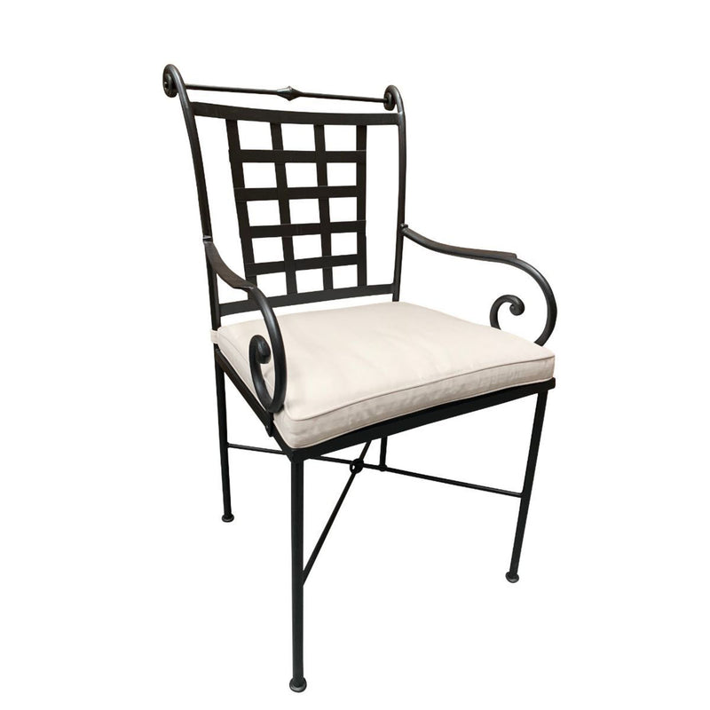 Nice Armchair With Seat  Cushion
