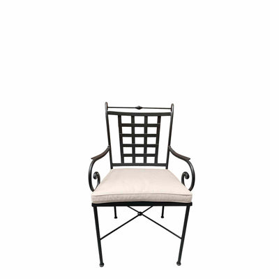 Nice Armchair With Seat  Cushion