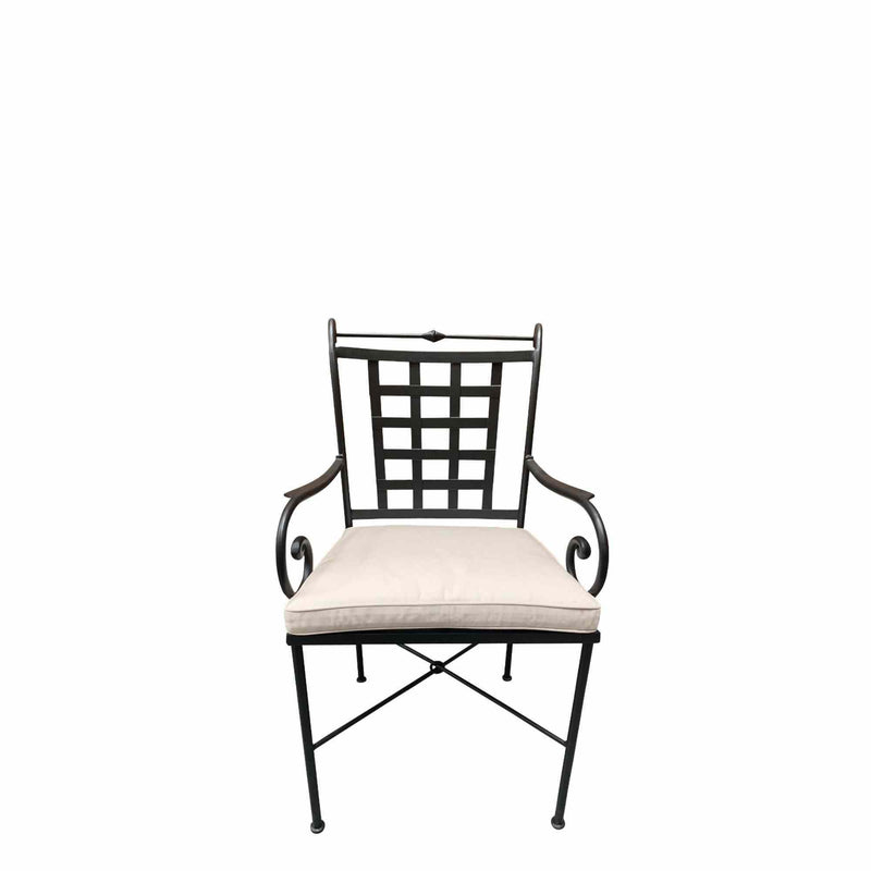 Nice Armchair With Seat  Cushion