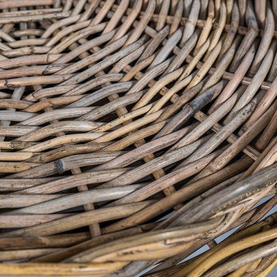 Grove Harvest Tray