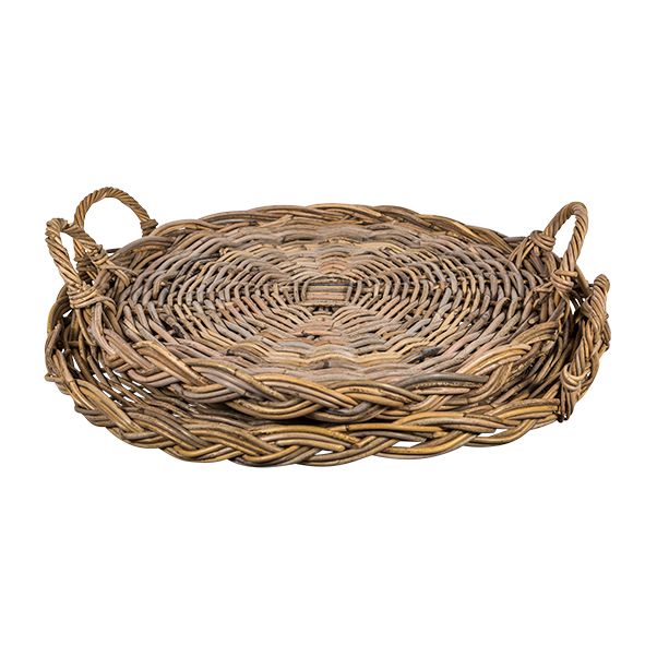 Grove Harvest Tray