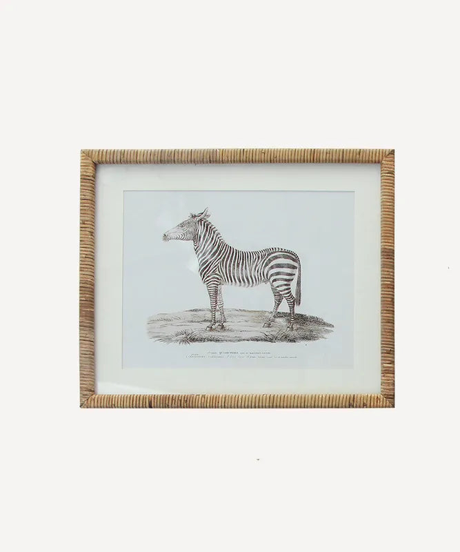 Animal Wall Art Zebra