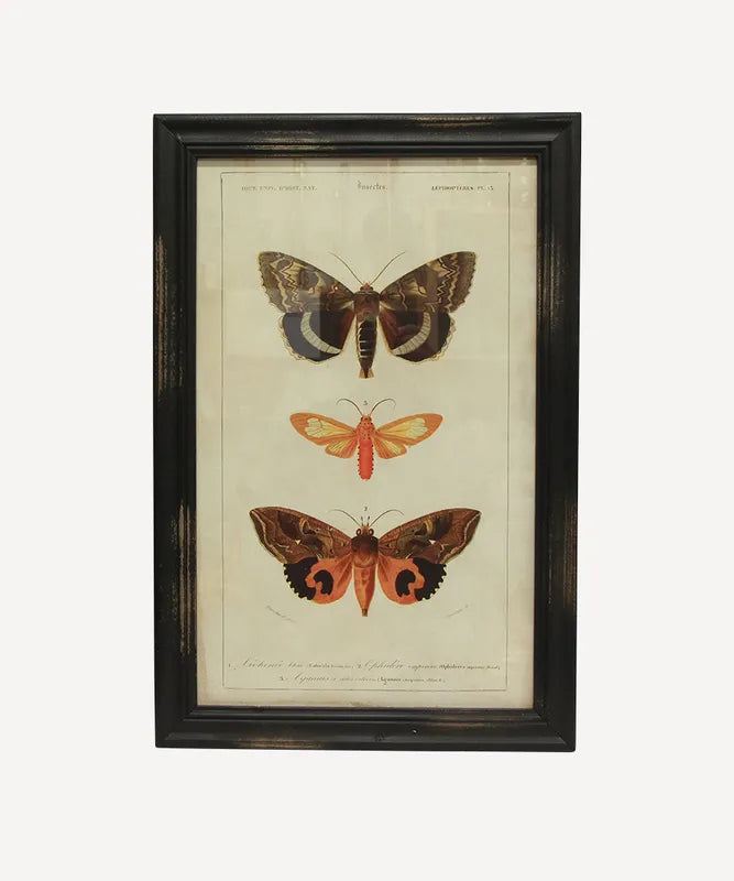 Butterfly Wall Art B