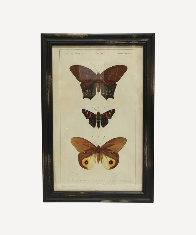 Butterfly Wall Art A