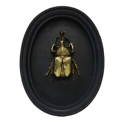 Insect Wall Decor